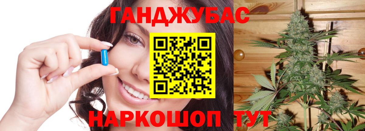 МАРИХУАНА сатива Новокубанск