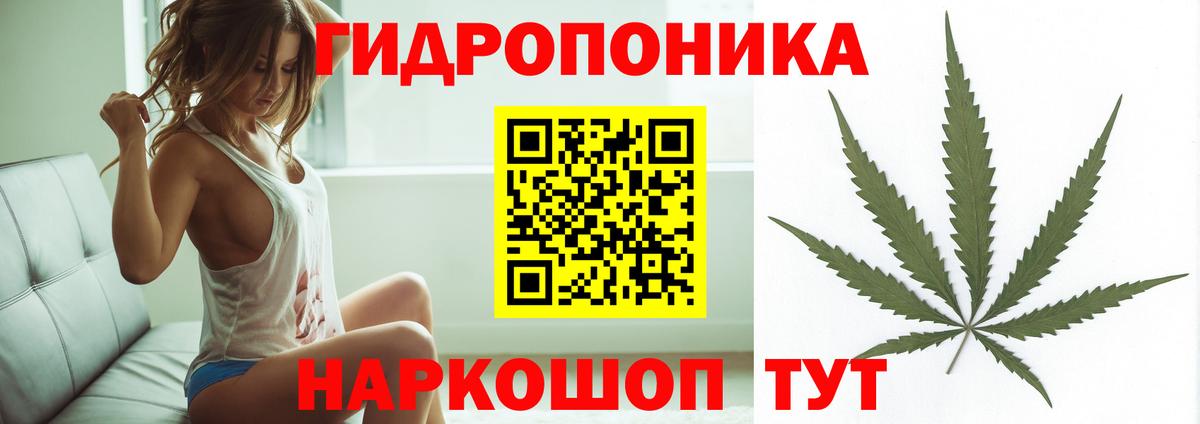 Бошки марихуана сатива  Каннабис White Widow  Вход с VPN  Новокубанск 